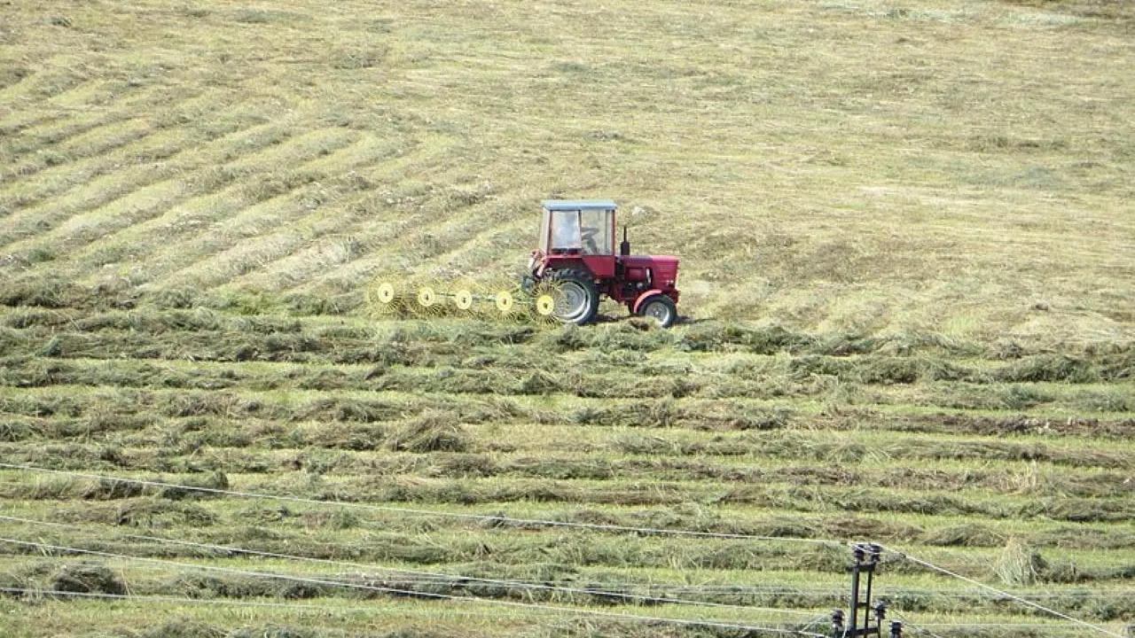 В Литве назвали экономику своей страны измученной и подавленной