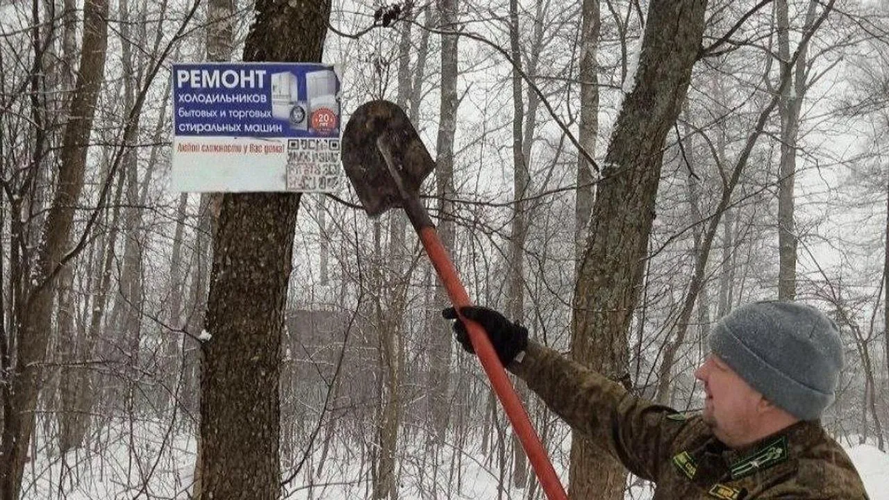 ГАУ МО "Мособллес