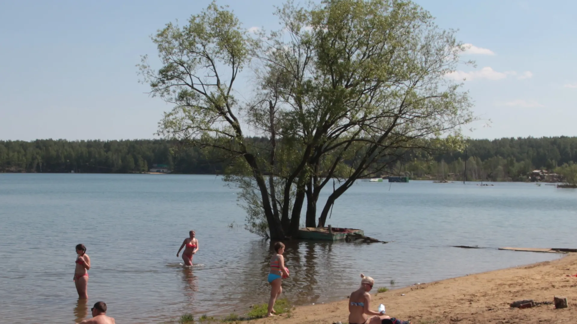 Фото: медиасток.рф