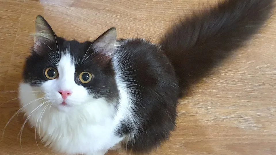 Фото: REGIONS/Александр Дрожжин