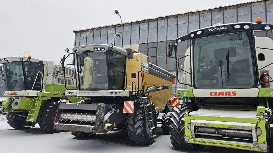 Фото: пресс-служба Министерства сельского хозяйства и продовольствия Московской области