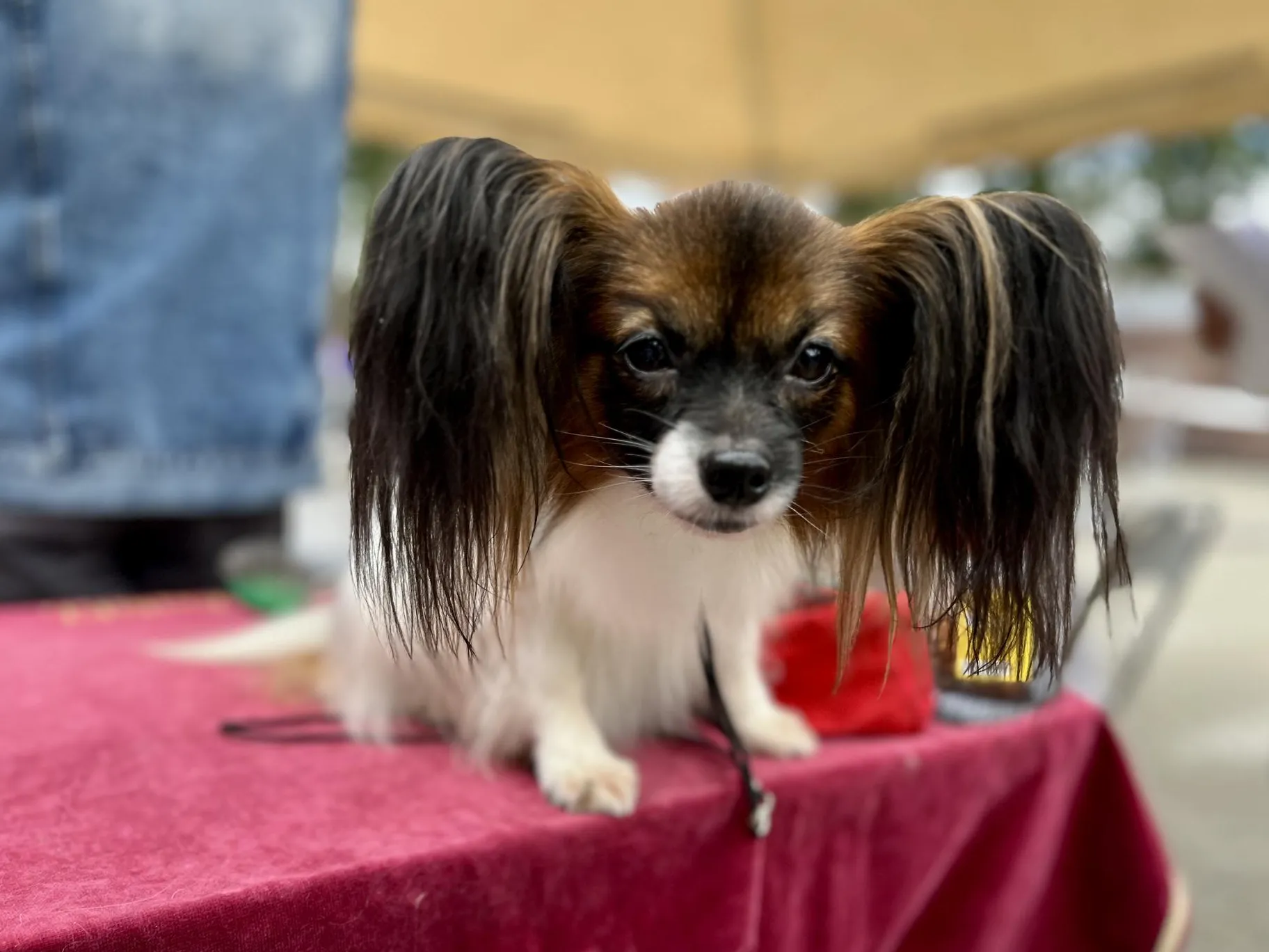 Фото: Анна Тюрюмина&nbsp; &nbsp; &nbsp; &nbsp; &nbsp;