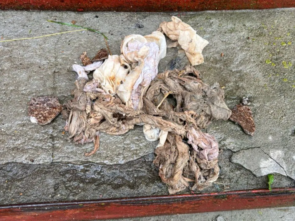 Фото: ООО&nbsp;«ДГХ» г.о. Коломна