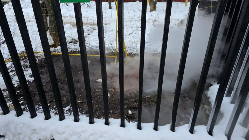 Фото: пресс-служба Администрации городского округа Химки