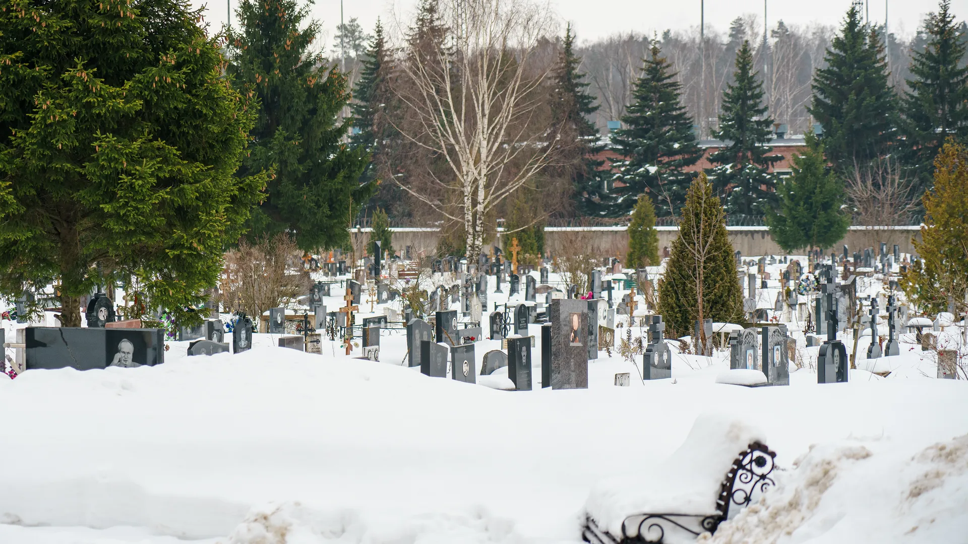 медиасток.рф