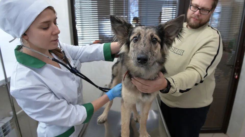 Фото: РИА Новости/Александр Кондратюк