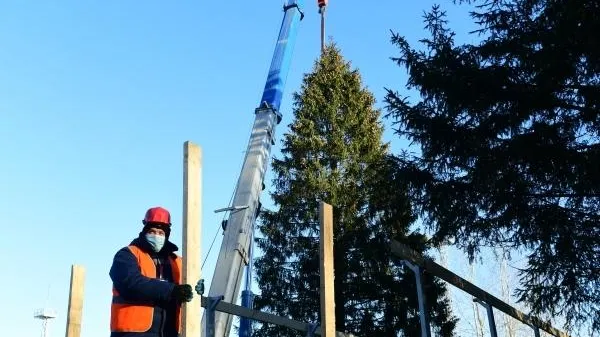 Главную новогоднюю ель страны спилили в Наро-Фоминске
