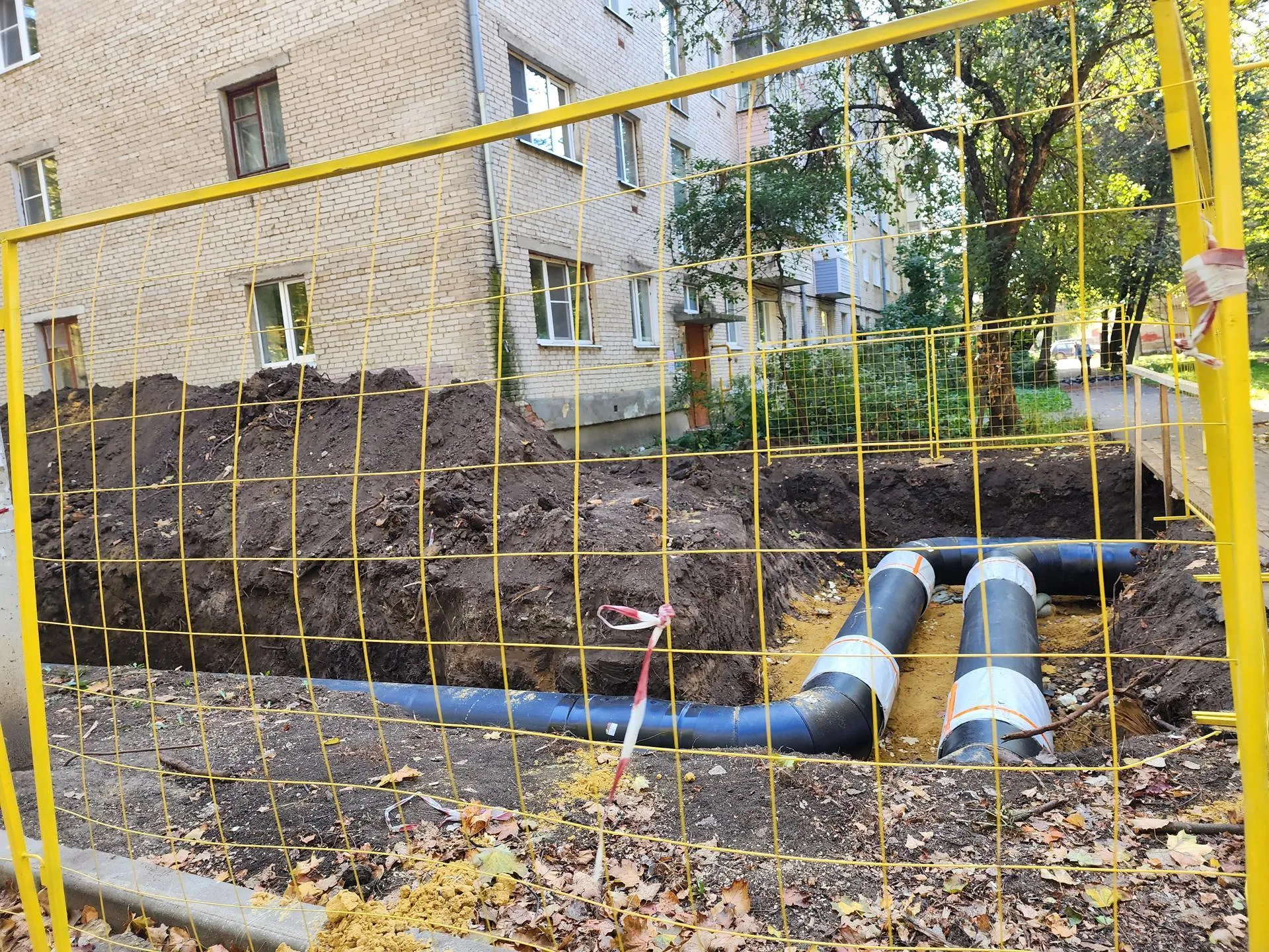 Фото: Светлана Плотникова