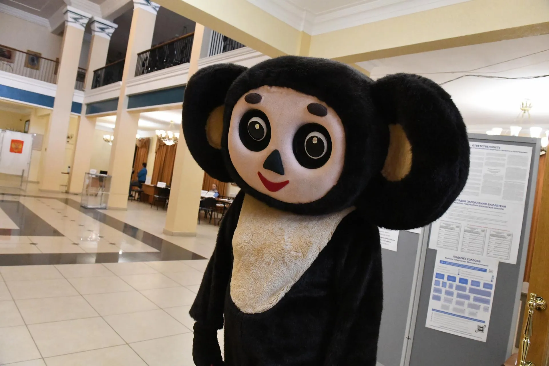 Фото: Анастасия Харченко