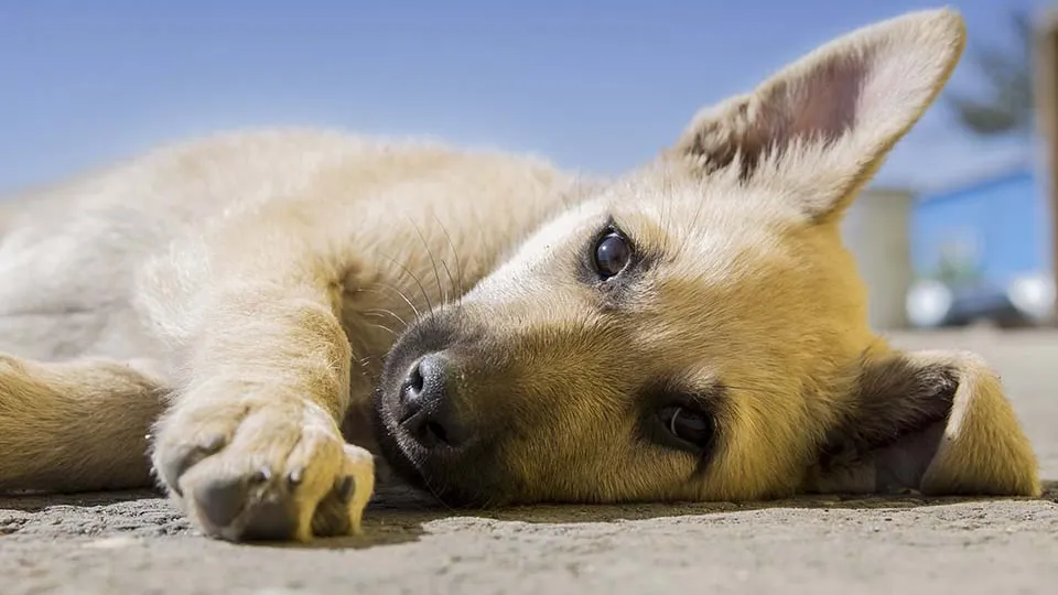 Фото: pxhere.com