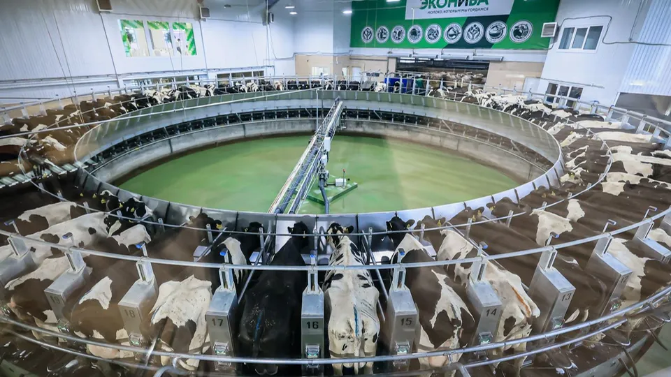 Фото: медиасток.рф