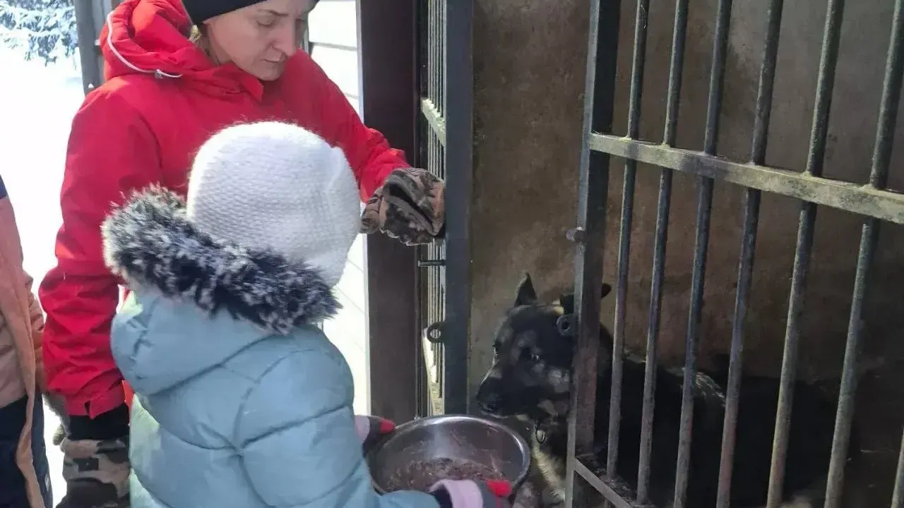 СЦ "Созвездие"