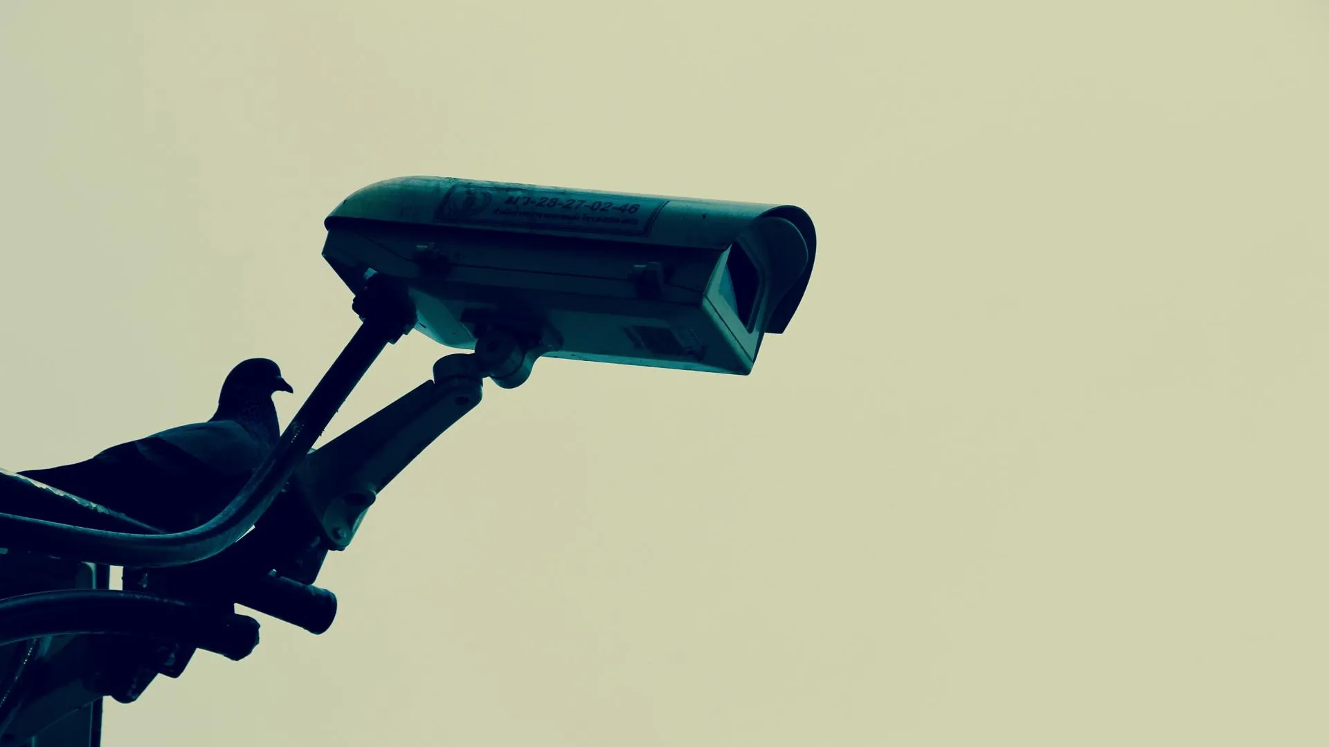 Фото: pxhere.com