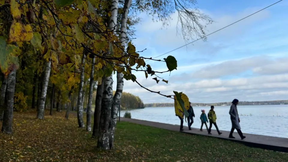 Фото: REGIONS/Алена Мельникова