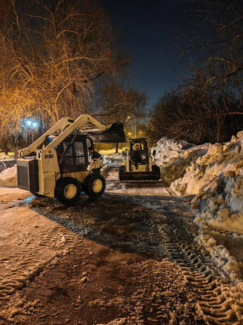 парки г.о. Долгопрудный