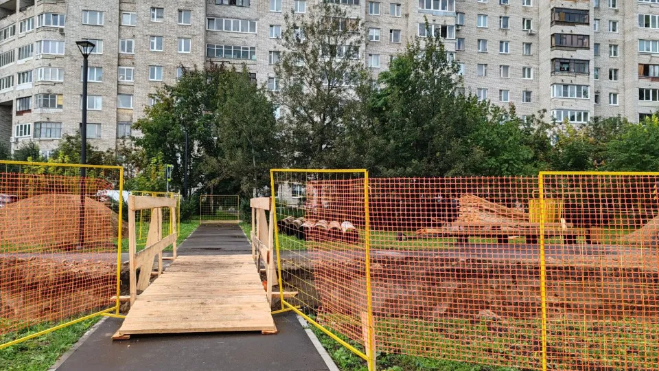 Фото: пресс-служба администрации г.о. Черноголовка