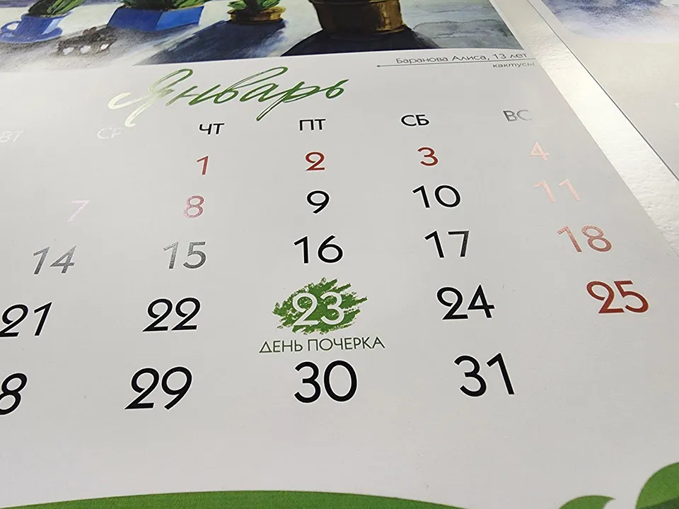 Фото: МедиаБанк Подмосковья/Екатерина Мелкозерова