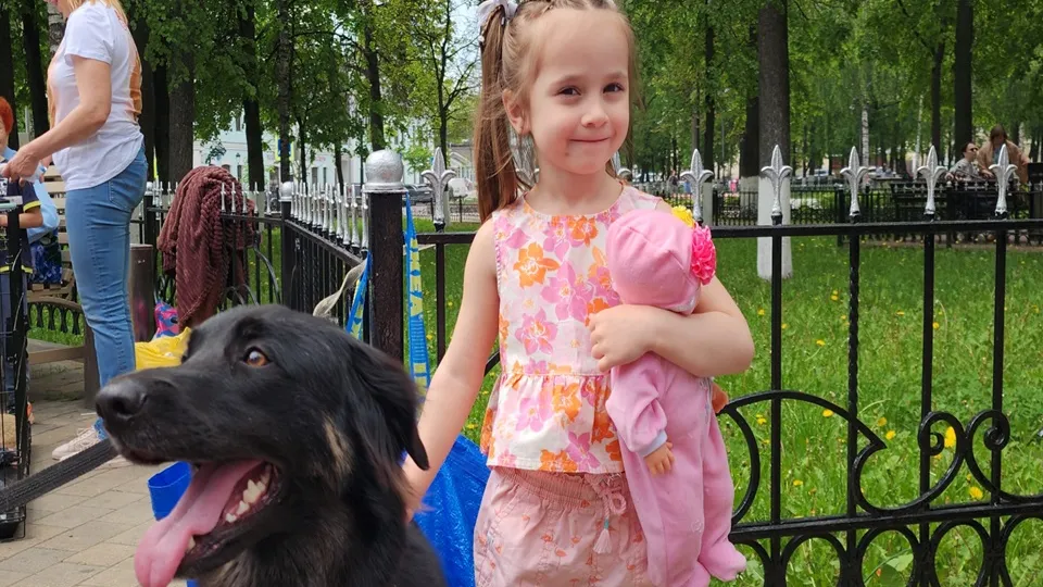 Фото: МедиаБанк Подмосковья/Хавива Фонина