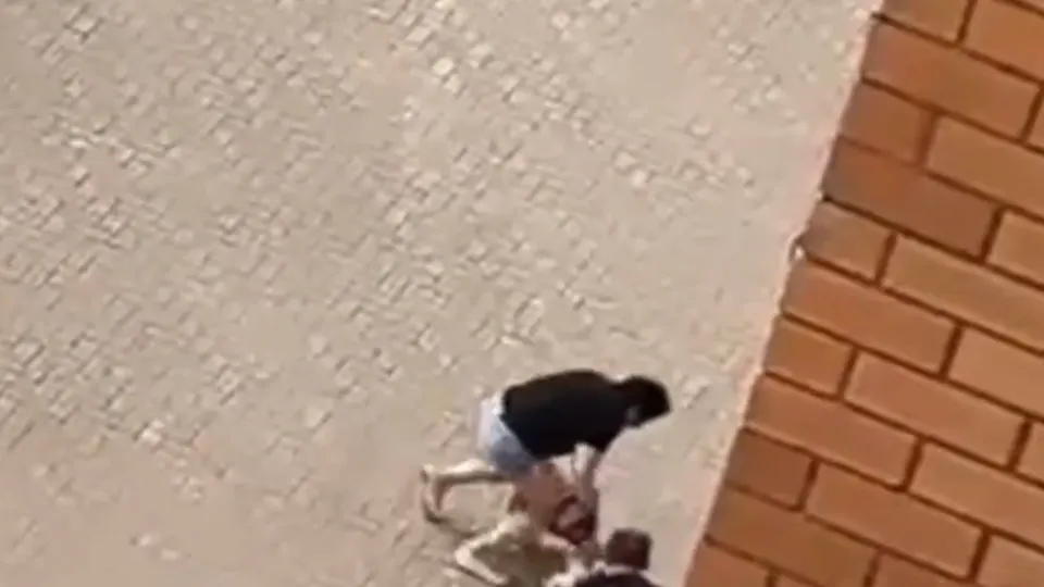 Фото: t.me/kotelniki_24