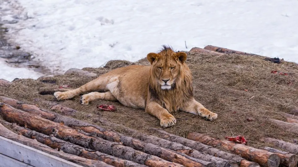 медиасток.рф