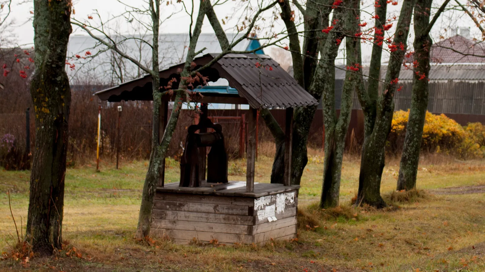 Фото: медиасток.рф