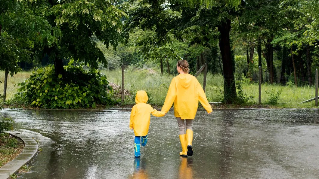 Фото: freepik.com