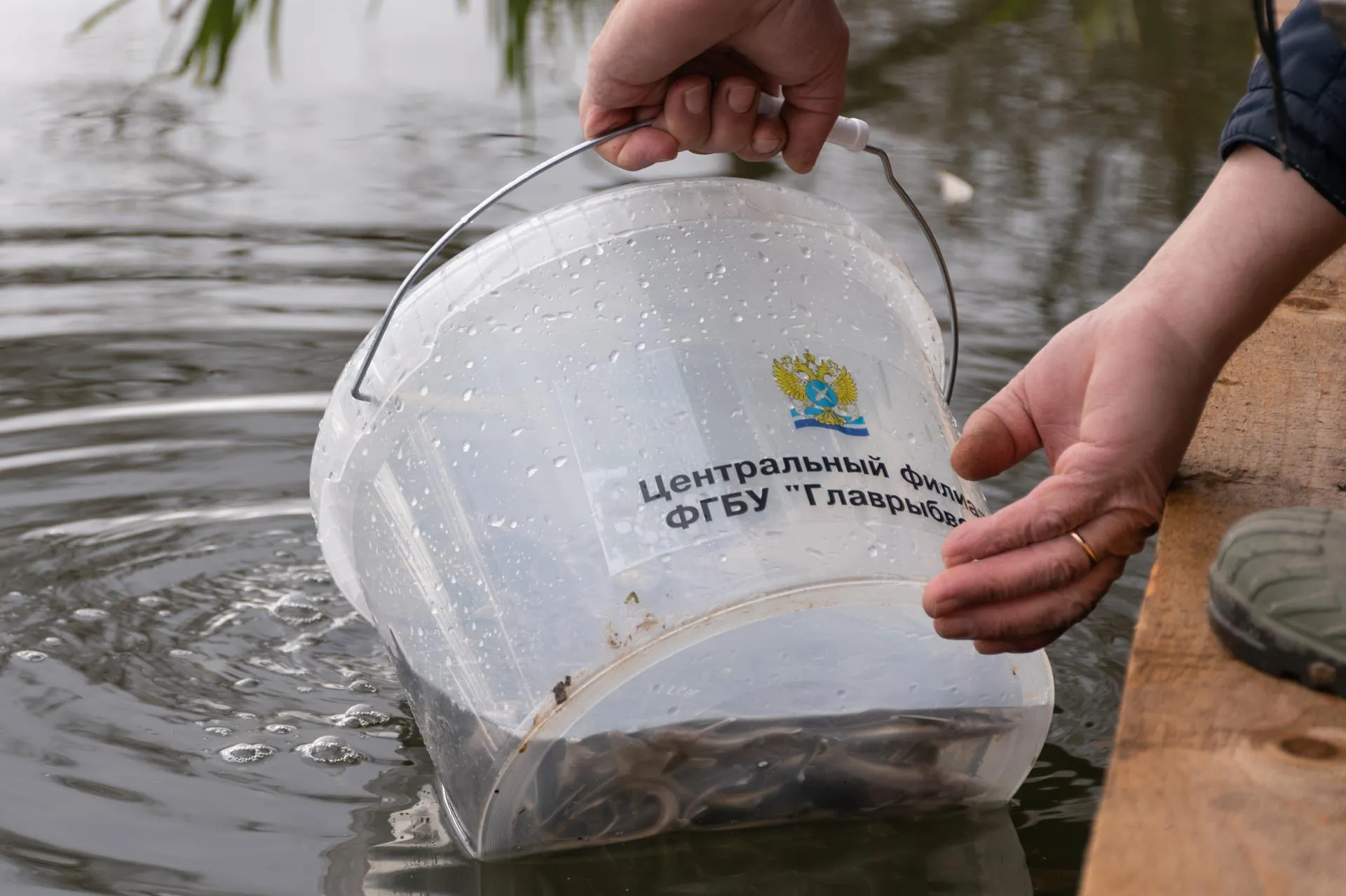 Фото: Евгений Мазепов