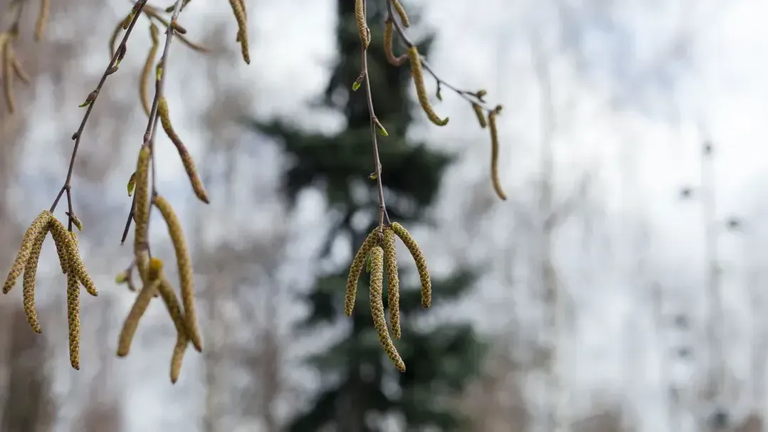 медиасток.рф