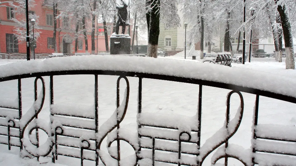 Фото: медиасток.рф