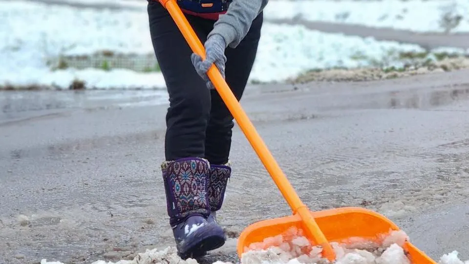 Фото: МедиаБанк Подмосковья/Дмитрий Беденко