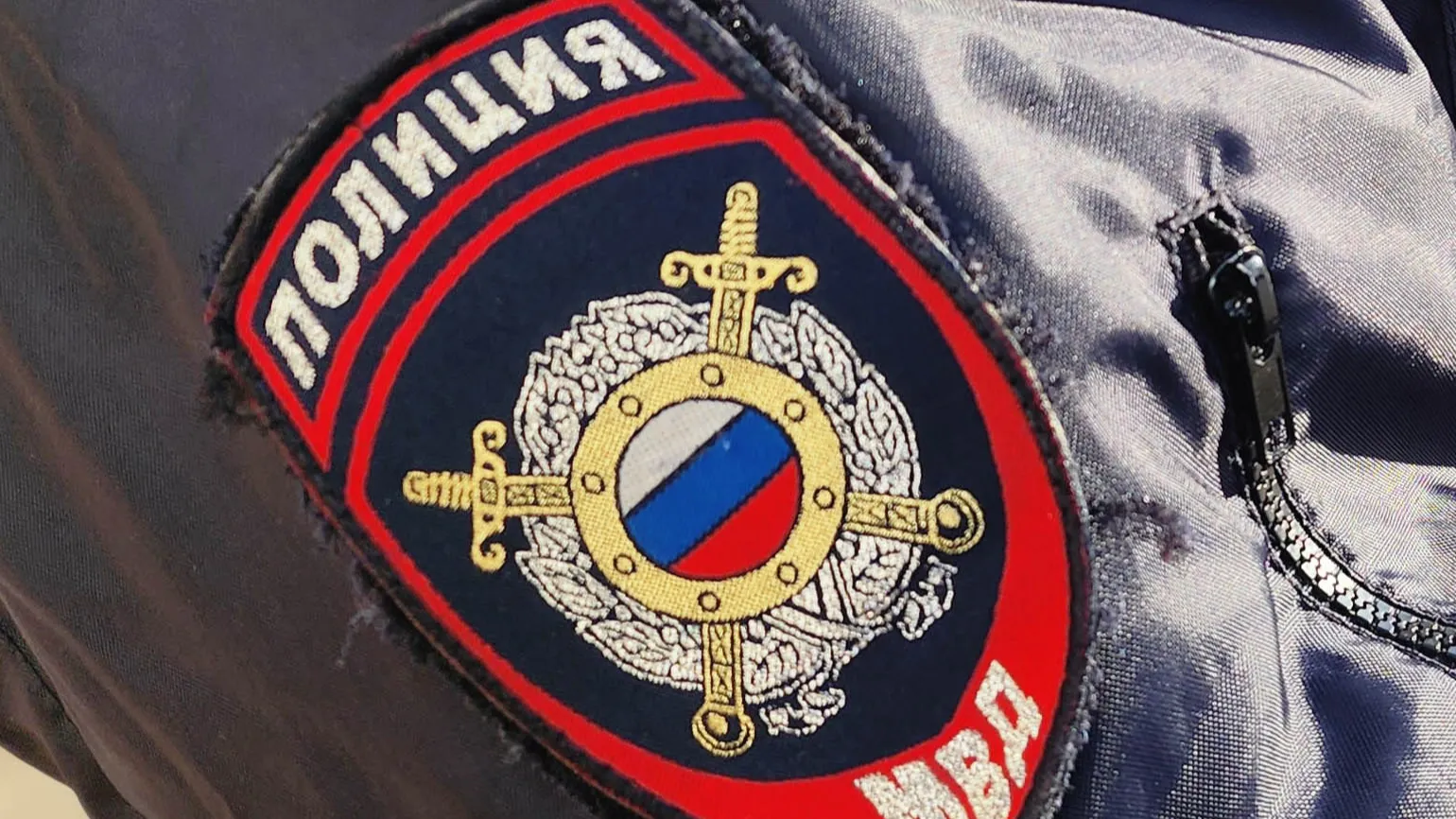 Фото: Валерия Тингаева