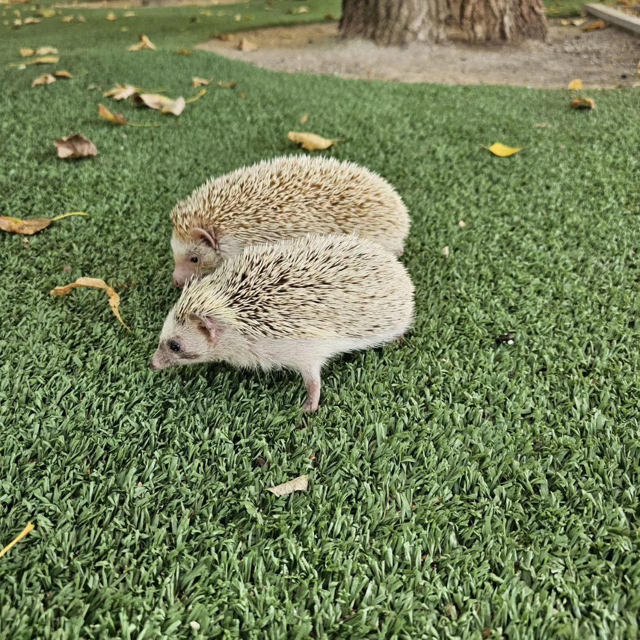 Фото: Наталья Тенькова