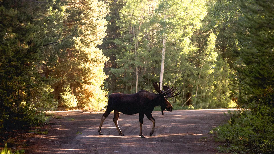 Фото: freepik.com