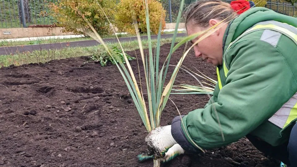 Фото: МедиаБанк Подмосковья/Екатерина Морозова