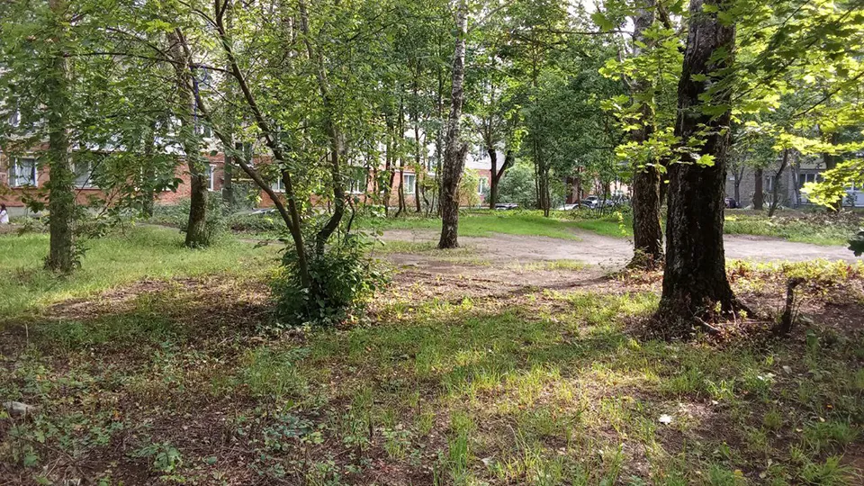 Фото: администрация г.о. Пушкинский