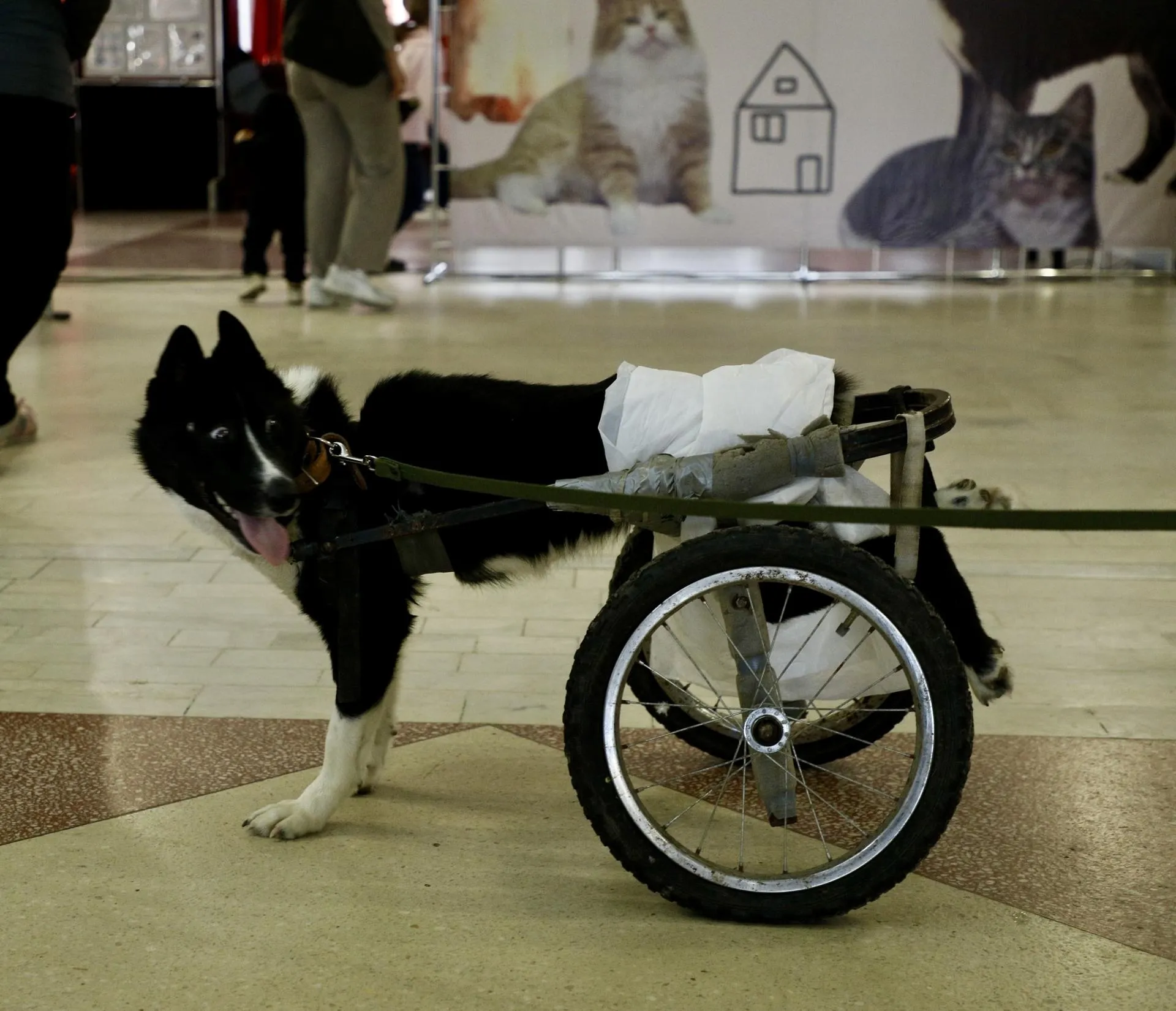 Фото: Анна Тюрюмина&nbsp; &nbsp;