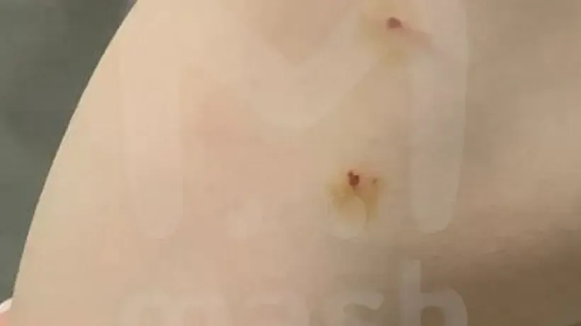 ТГ-канал MASH