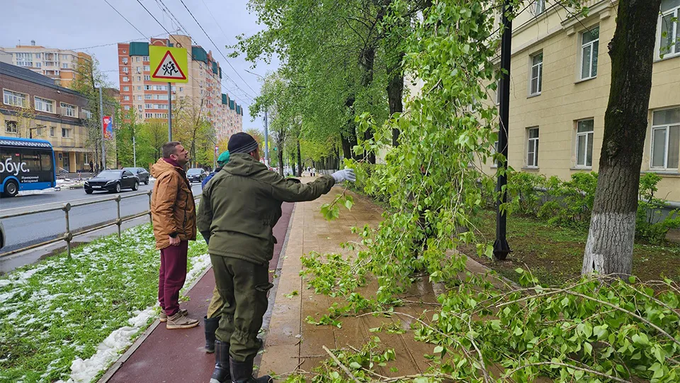 Фото: Михаил Раскин