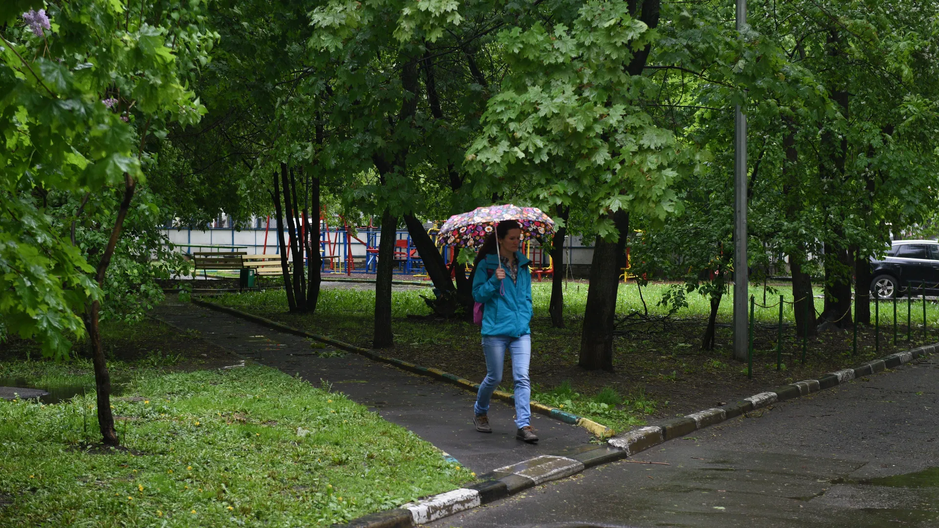 Фото: медиасток.рф