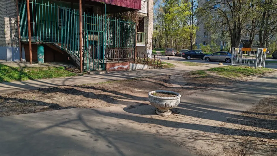 Фото: пресс-служба администрации г.о. Черноголовка