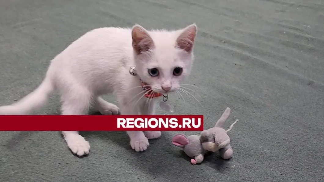 Фото: Иван Дубров