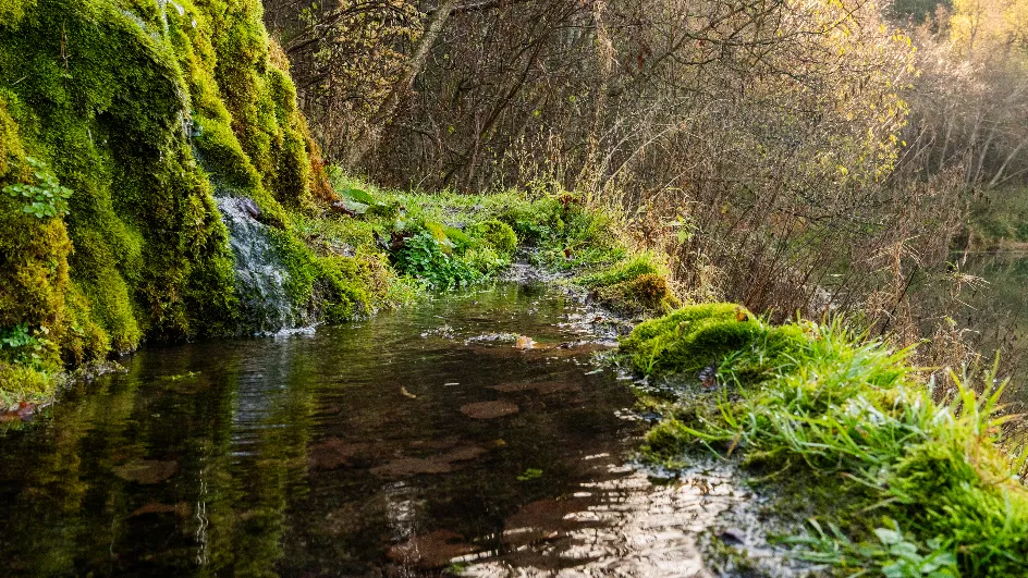 Фото: медиасток.рф