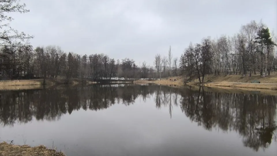 Фото: администрация г.о. Дзержинский