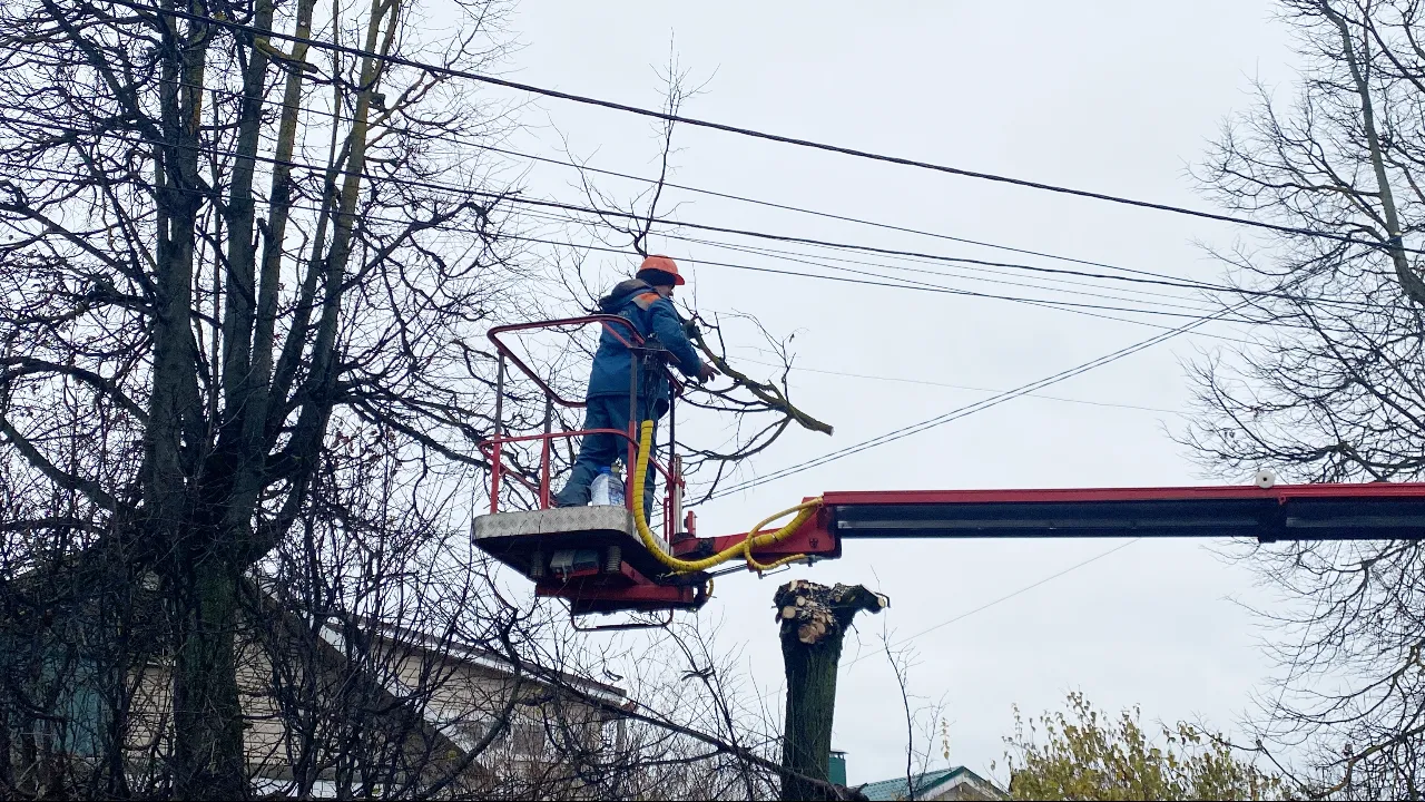 МедиаБанк Подмосковья/Екатерина Морозова