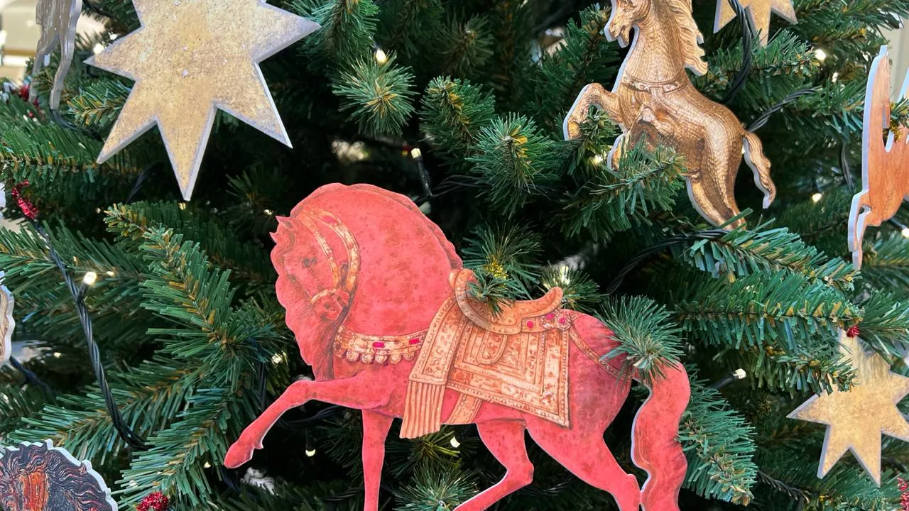 Фото: REGIONS/Елена Фурман