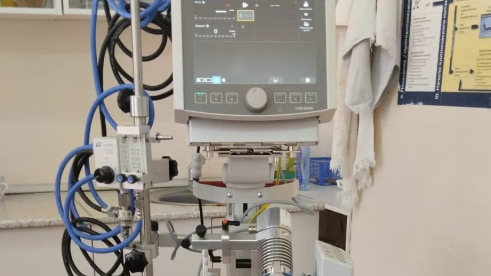 Фото: t.me/egcrb