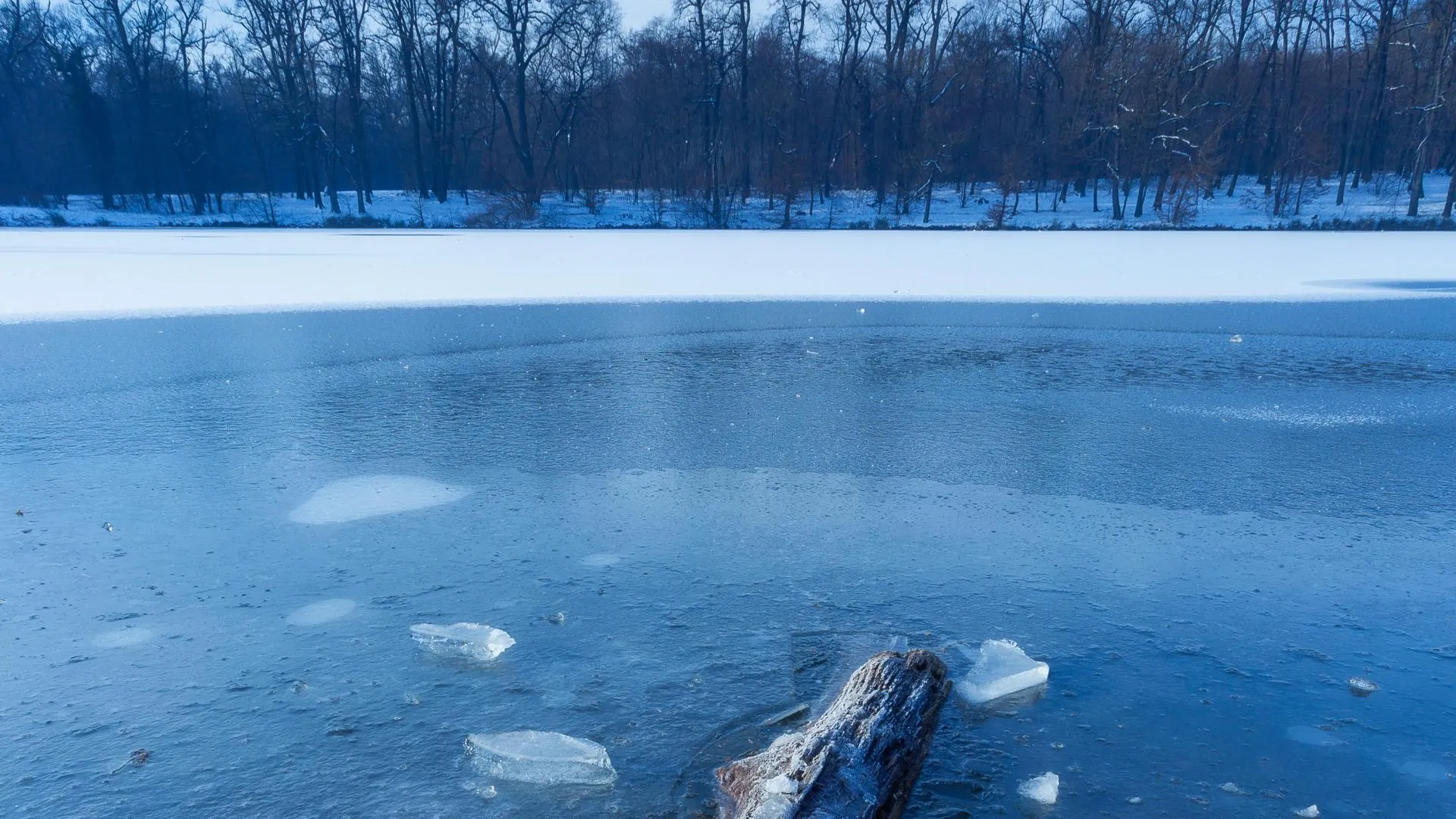 медиасток.рф