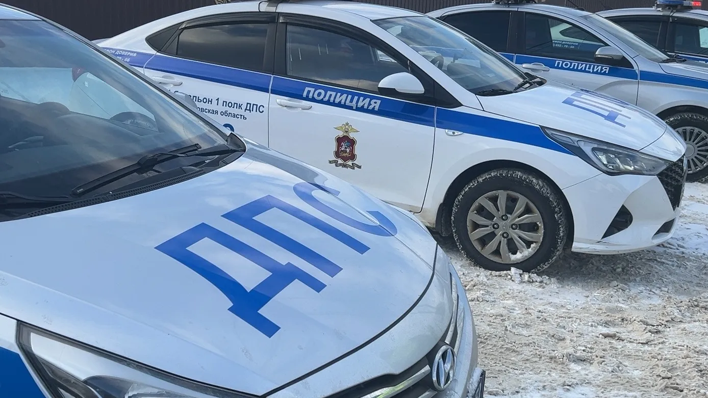 Фото: МедиаБанк Подмосковья/Юлия Унрау