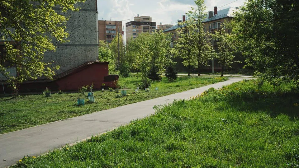 Фото: Администрация Лосино-Петровского г.о.