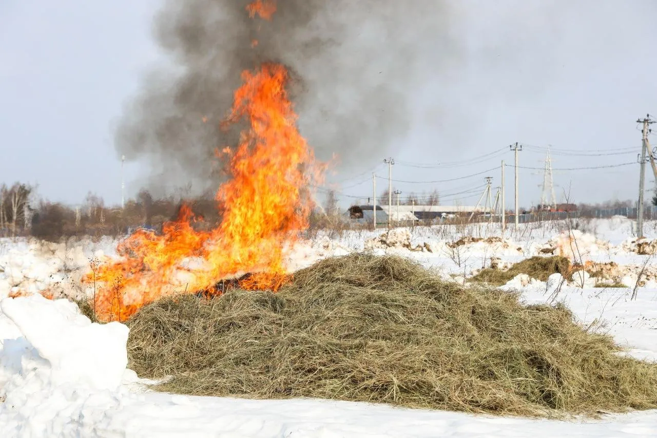 Раменский медиацентр